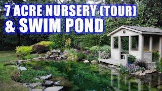 PONDS with PRICES and GARDEN TOUR: Greg Wittstock, The Pond Guy