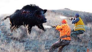 Top 50 Amazing Wild Boar Shots, wild boar hunting 2024