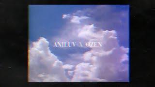 aniluv x ozen - problèmes (lyrics audio)