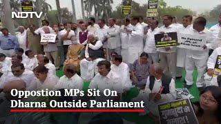 Congress Protest After Chaos In Parliament Over Rahul Gandhi's Remarks