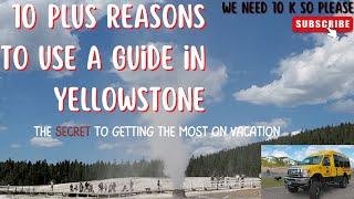 Top 10 Reasons to go on a Guided Tour in Yellowstone #yellowstone #rvlifevlog