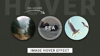 CSS Image Hover Effects | Create Image Hover Overlay Effects with source code