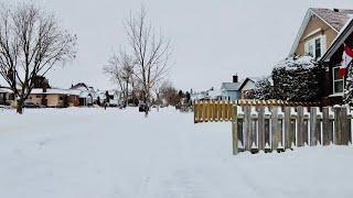 [4K] Walking in Snow | Winter Walk in Thunder Bay, Northwestern Ontario, Canada