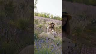 Sweet Moments: Beautiful Girl Gives Adorable Dog a Relaxing Massage #dog #dogs #garden #doglover