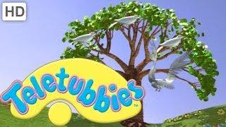 Teletubbies Magical Event: The Magic Tree - Clip