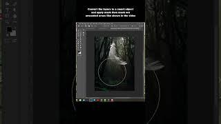 Selecting a Feather in Photoshop using Channels