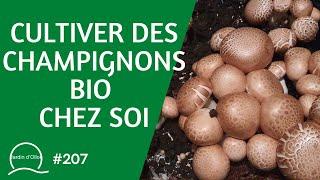 #207-Cultiver des champignons bio chez soi  / #champignon