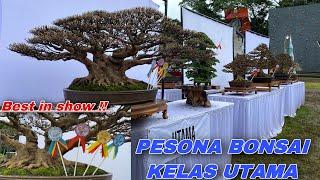 Pesona bonsai ratusan juta di kelas utama // Pamnas bonsai  PPBI Tabanan 2021