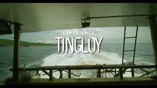 EXPERIENCE TINGLOY