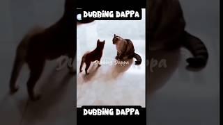 Gandhi yaaru  || Dubbing Dappa #funny #cat #shorts #comedy #shortsfeed #catvideos #dog #doglovers