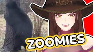 Bear Was At The Bar Getting Tipsy | Saeko Reacts To Daily Dose Of Internet