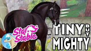 Tiny but MIGHTY !! | Buying the NEW Gotland Pony | Star Stable Online