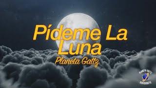 Pídeme la Luna (Leo Dan Cover) - Planeta Gattz x Ángel Gattz (Letra Oficial)