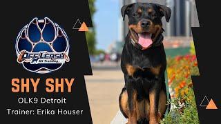 7 m/o Rottie “SHY SHY” | Awesome Obedience | Trainer Erika Houser