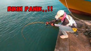 BIKIN PANIK,,‼️ MANCING DISAAT AIR PASANG BESAR