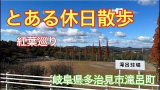 【散歩】とある休日散歩 in岐阜県多治見市滝呂町 紅葉巡り散歩