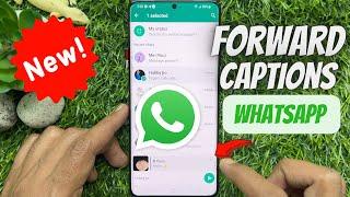 How to Forward Media with and without Captions on WhatsApp