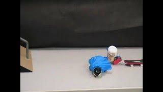 HS Project Stop Motion Video Tech Deck Dudes