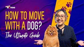 Moving With a Dog: The Ultimate Guide | Let's Get Moving