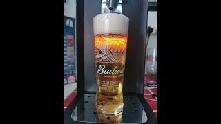 Budweiser 5% - Perfect draft pro / Philips perfect draft - review No. 596