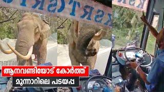 ആനവണ്ടിയോട് കോർത്ത് മൂന്നാറിലെ പടയപ്പ | Elephant Attack against KSRTC Bus on Munnar route