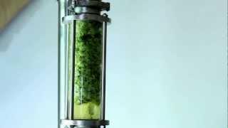 World's Smartest Hop Infuser - Fusion Tower.mov