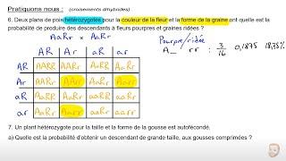 Génétique monohybrides et dihybrides