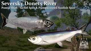 RF4: Seversky Donets River Pontic Shad & Sichel - Pumpkinseed Sunfish  Spots( 2 Spots in 1 video)