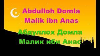 Abdulloh Domla - Malik ibn Anas,Абдуллох Домла - Малик ибн Анас,Имам Малик,Imam Malik