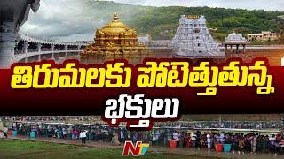 TTD: Devotees Flock to Tirumala Srivari Sarva Darshan | Ntv