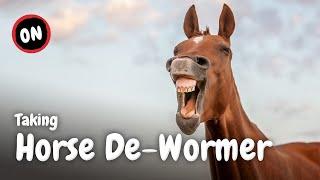 Taking Horse De-Wormer