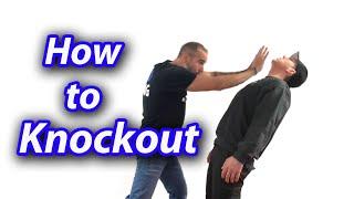 How to Knock Out an Attacker