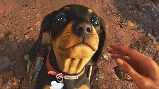 Can you pet the dog in Far Cry 6?