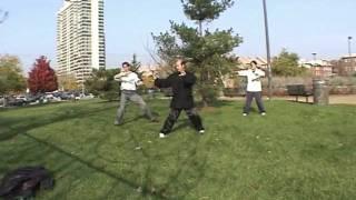 The Art Of Tai Chi (with Master Ru) Short Form