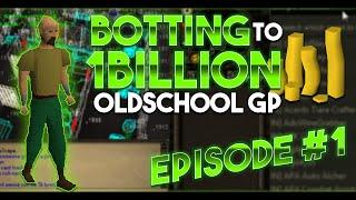 Runescape Botting From Scratch To 1B 07 Episode 1