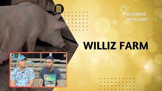 Pig Farming: Williz Farm #makesensepromotions #businessspotlight