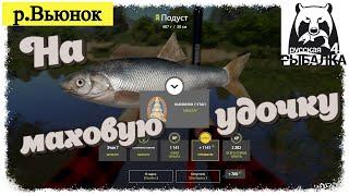 Russian Fishing 4, #РР4... р. Вьюнок - Подуст на Мах. Русская рыбалка 4 #рр4