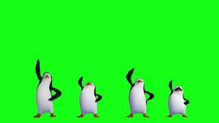 Dancing Penguins of Madagascar Free Greenscreen 1 min