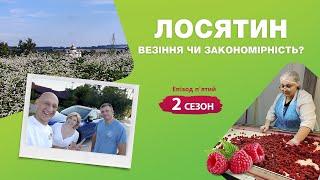 Лосятин: везіння чи закономірність? | Проект «ВеСело» Другий сезон Епізод П'ятий