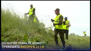 Покос травы триммером в Великом Новгороде