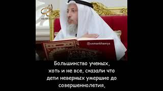 Дети неверных будут в Раю!!! Шейх Усман Аль Хамис #usmanhamis