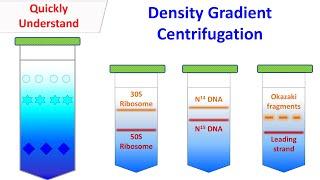 Density gradient centrifugation