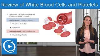 Review of White Blood Cells and Platelets – Pediatric Nursing | Lecturio Nursing