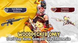 Namatin Weapon Glory Pakai Akun Ceweku Dari Top Kota Sampai Top Indonesia WOODPECKER - BR Ranked