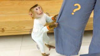 So smart, Monkey Pupu went to find Mom when he needed help.