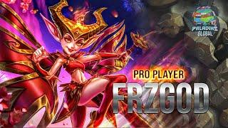 frzgod Willo pro Player top dmg paladins POV Global