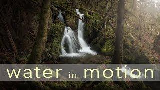 WATER in MOTION | Photographing gnarly trees and Waterfalls