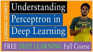 Understanding Perceptron || Lesson 2 || Deep Learning || Learning Monkey ||