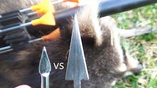 Cold Steel Blowgun Dart Review - mini broad head vs. razor tip