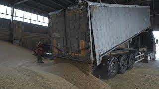 Кремль: "Действие зерновой сделки прекращается"